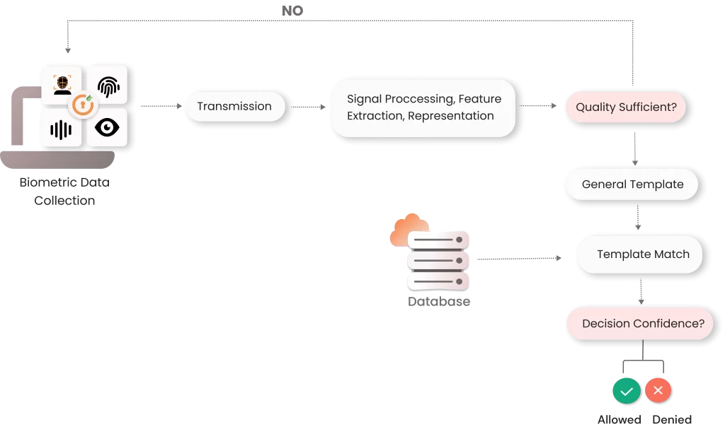 How biometric works