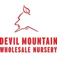 Devil Mountain Nursery